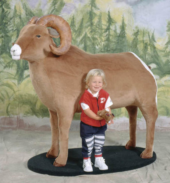 "Emmanuel" Bighorn Sheep