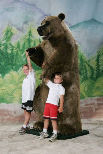 "Hercules" Grizzly Bear