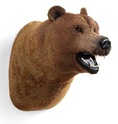 "Wahl" Grizzly Bear Wall Mount