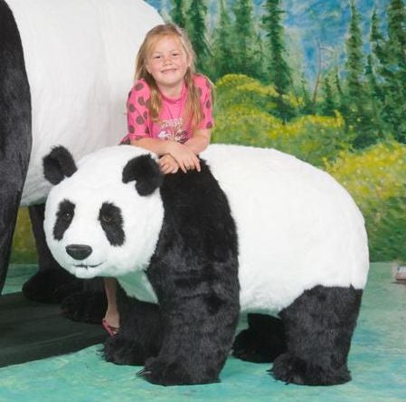 "Yang" Panda Bear